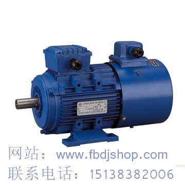 TYBPX變頻調(diào)速防爆永磁電機.jpg